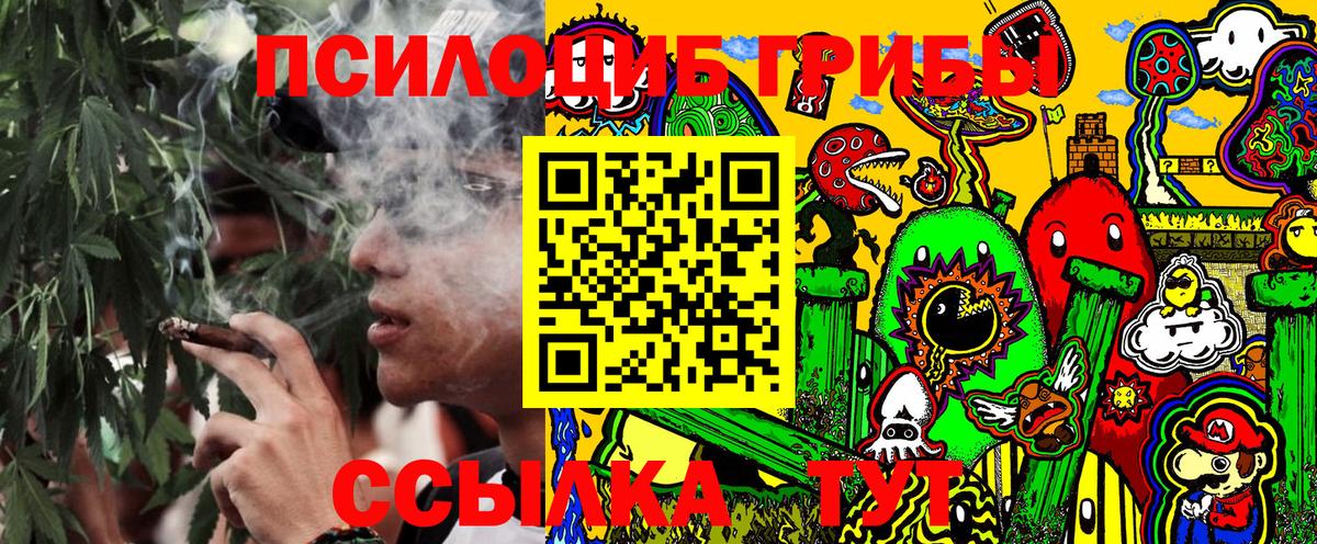 Галлюциногенные грибы мухоморы Славгород